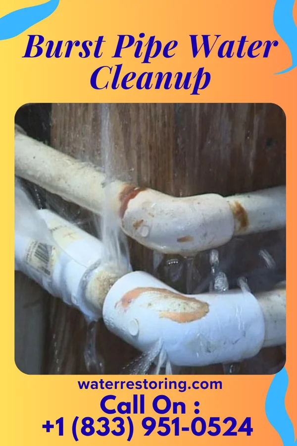 Burst Pipe Water Cleanup in Conyngham, PA