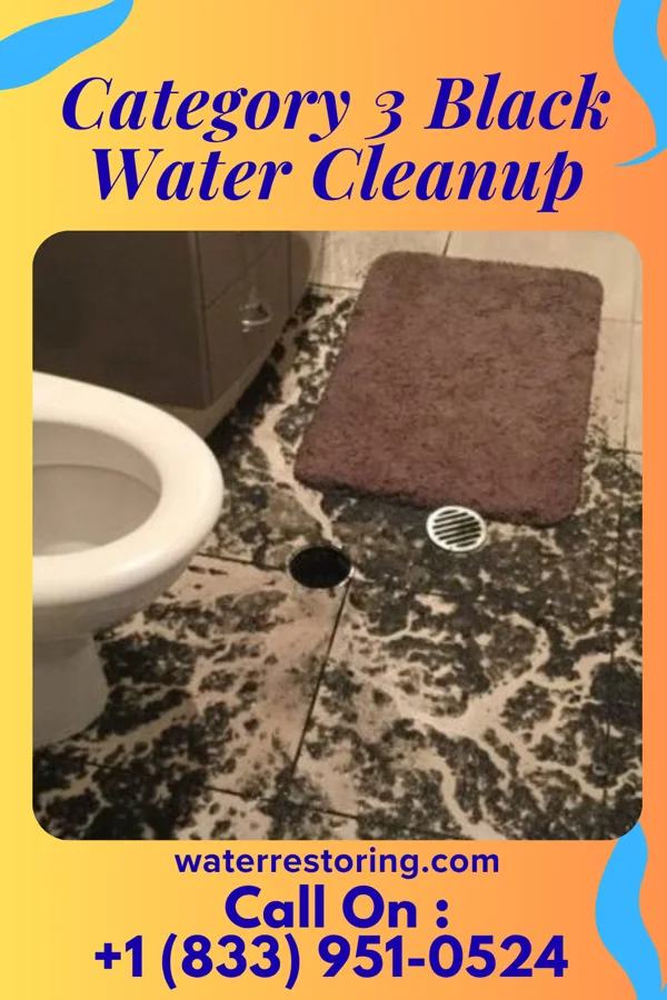 Category 3 Black Water Cleanup in Conyngham, PA
