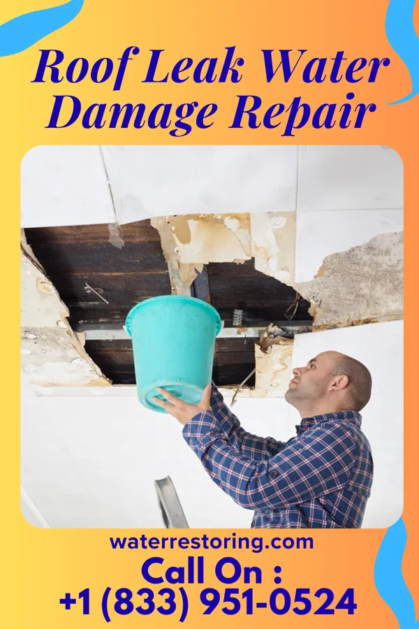 Roof Leak Water Damage Repair in Conyngham, PA