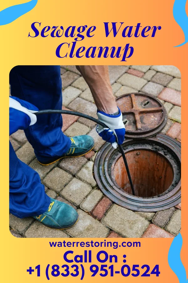 Sewage Water Cleanup in Conyngham, PA